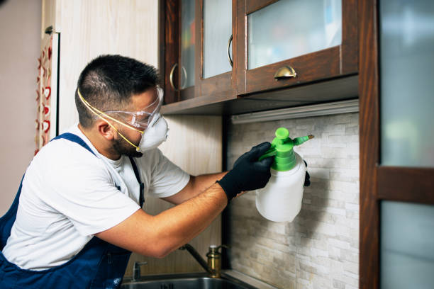 Best Emergency Pest Control  in Spencer, IN