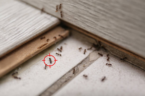 Best Mosquito Control Services  in Spencer, IN
