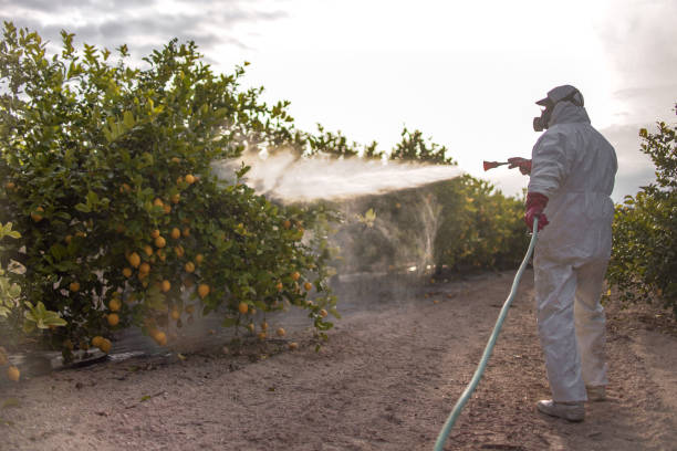Best Pest Prevention Services  in Spencer, IN