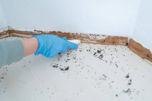 Best Termite Control Services  in Spencer, IN