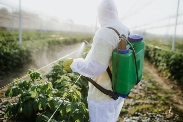 Wasp Removal Services in Spencer, IN